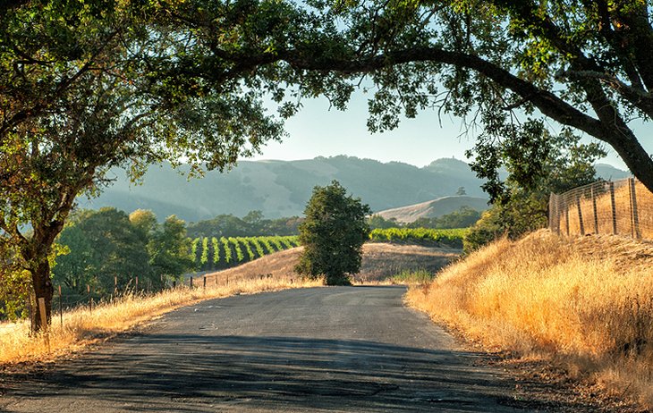 The Hills Hills của Sonoma County