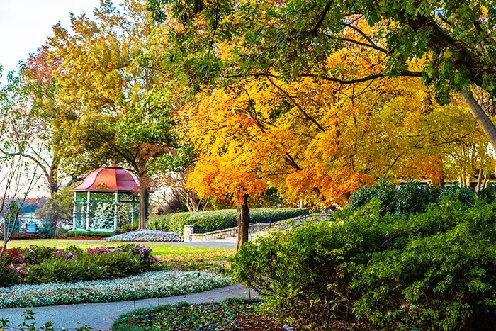 Botanical Gardens Dallas