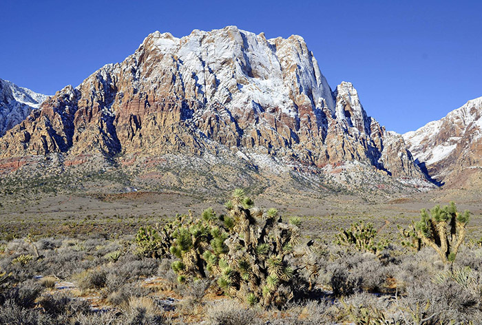 Vé máy bay giá rẻ đi Las Vegas – Nevada 8