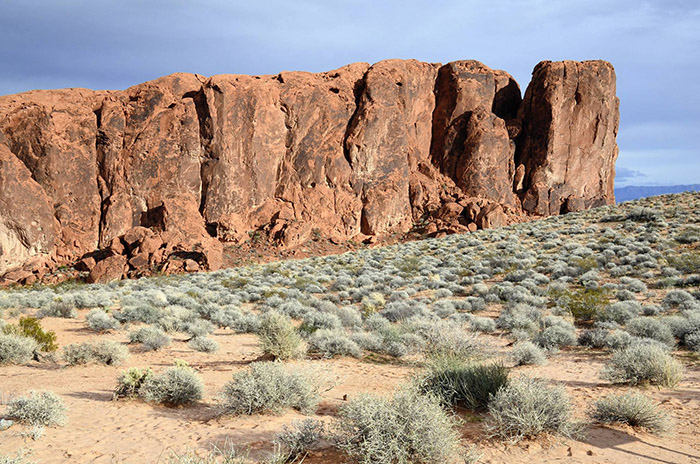 Vé máy bay giá rẻ đi Las Vegas – Nevada 9