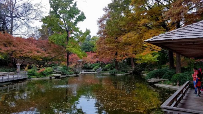 Vé máy bay đi Dallas giá rẻ 3