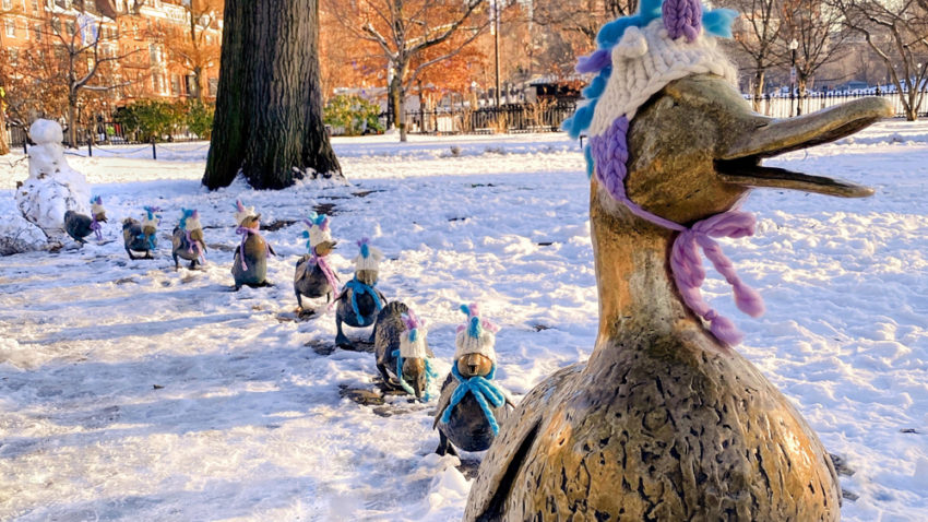 Make Way for Ducklings tại Boston Public Garden