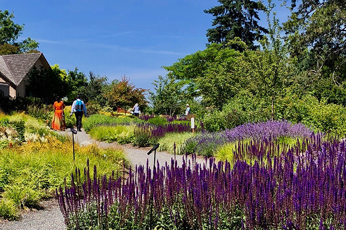 Vườn bách thảo Bellevue