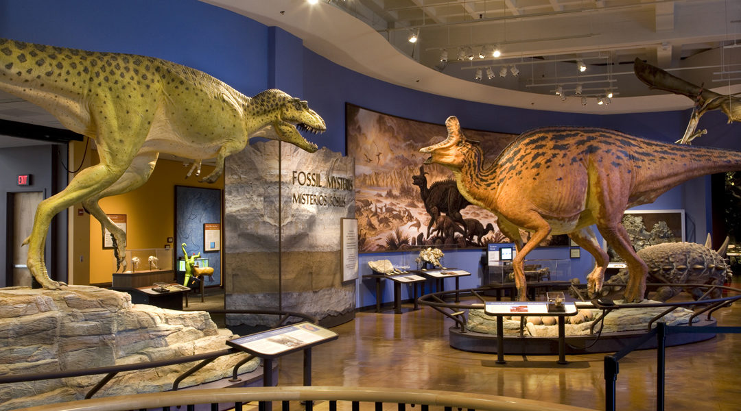 Bảo tàng Lịch sử Tự nhiên San Diego (NAT)