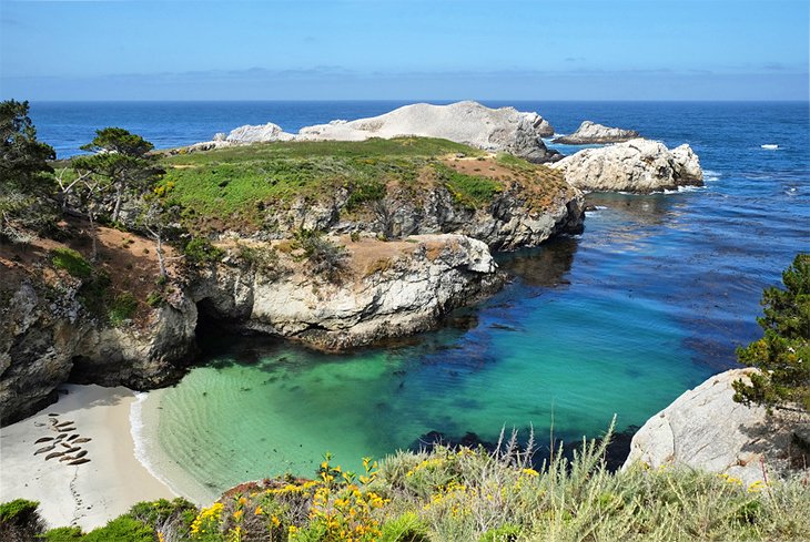Khu bảo tồn thiên nhiên bang Point Lobos