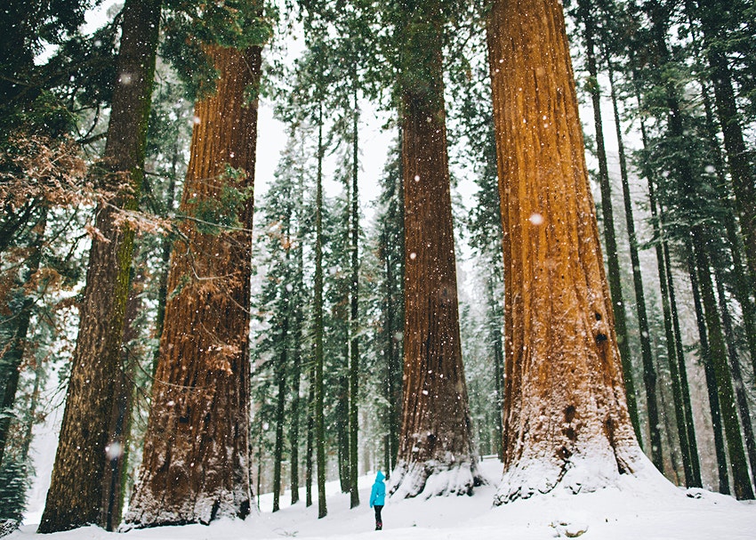 Vườn quốc gia Sequoia, California, Mỹ