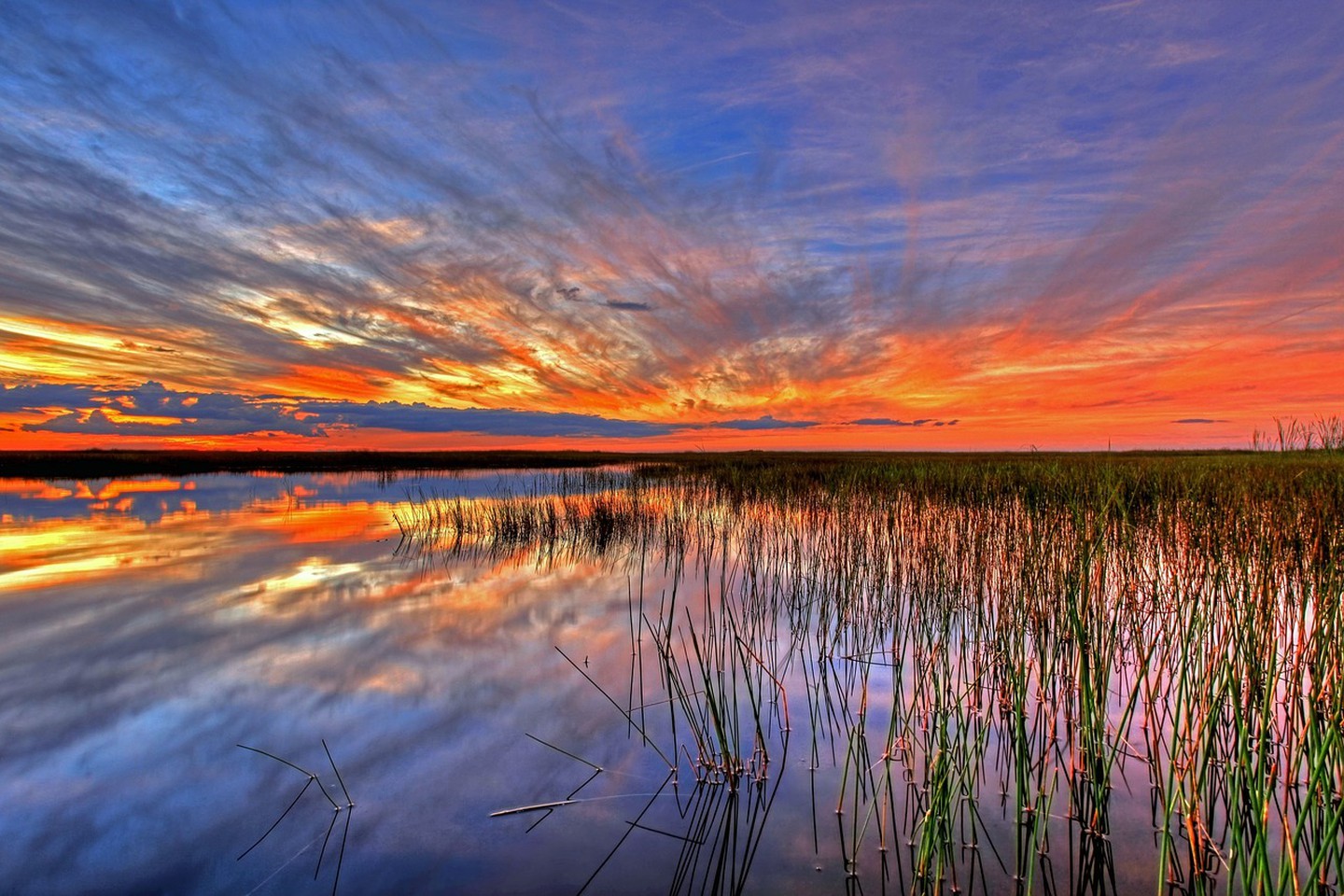 Vườn quốc gia Everglades