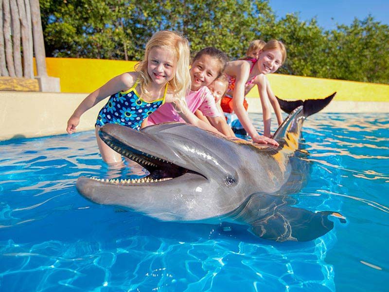 SeaWorld Orlando: Lặn vào