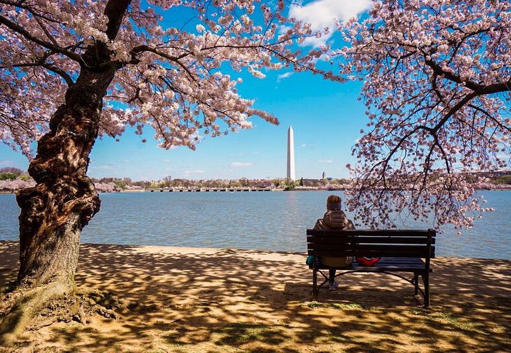 Trải nghiệm mùa xuân tại DC 