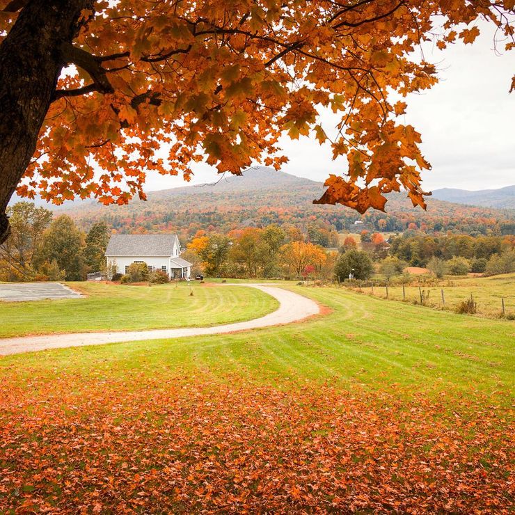 Ghé Thăm Vermont Cho Một Mùa Thu New England Cổ Điển