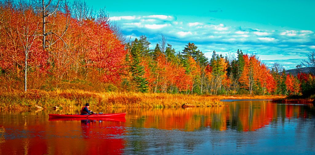 Để có những sắc màu mùa thu tuyệt đẹp ở Maine, hãy ghé thăm Bar Harbour