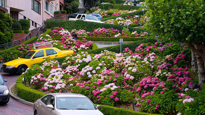 đường hoa Lombard nổi tiếng là con đường quanh co nhất thế giới