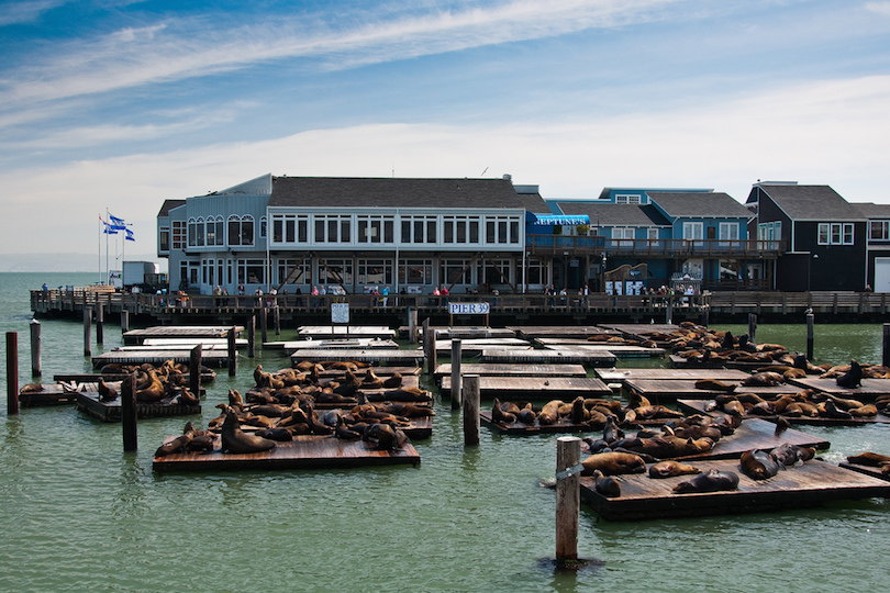 Cầu cảng ngư dân là trung tâm của đội tàu đánh cá San Francisco