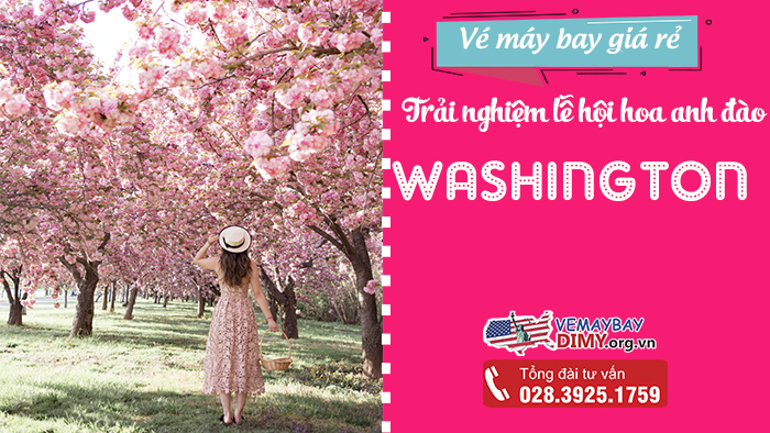 Trải nghiệm lễ hội hoa anh đào ở Washington, DC