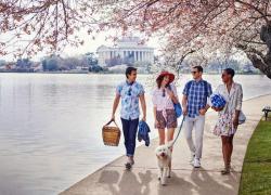 Du lịch Washington DC mùa xuân